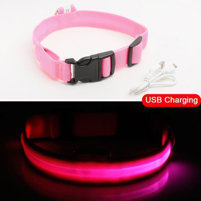 LEDDY collar: Life safer