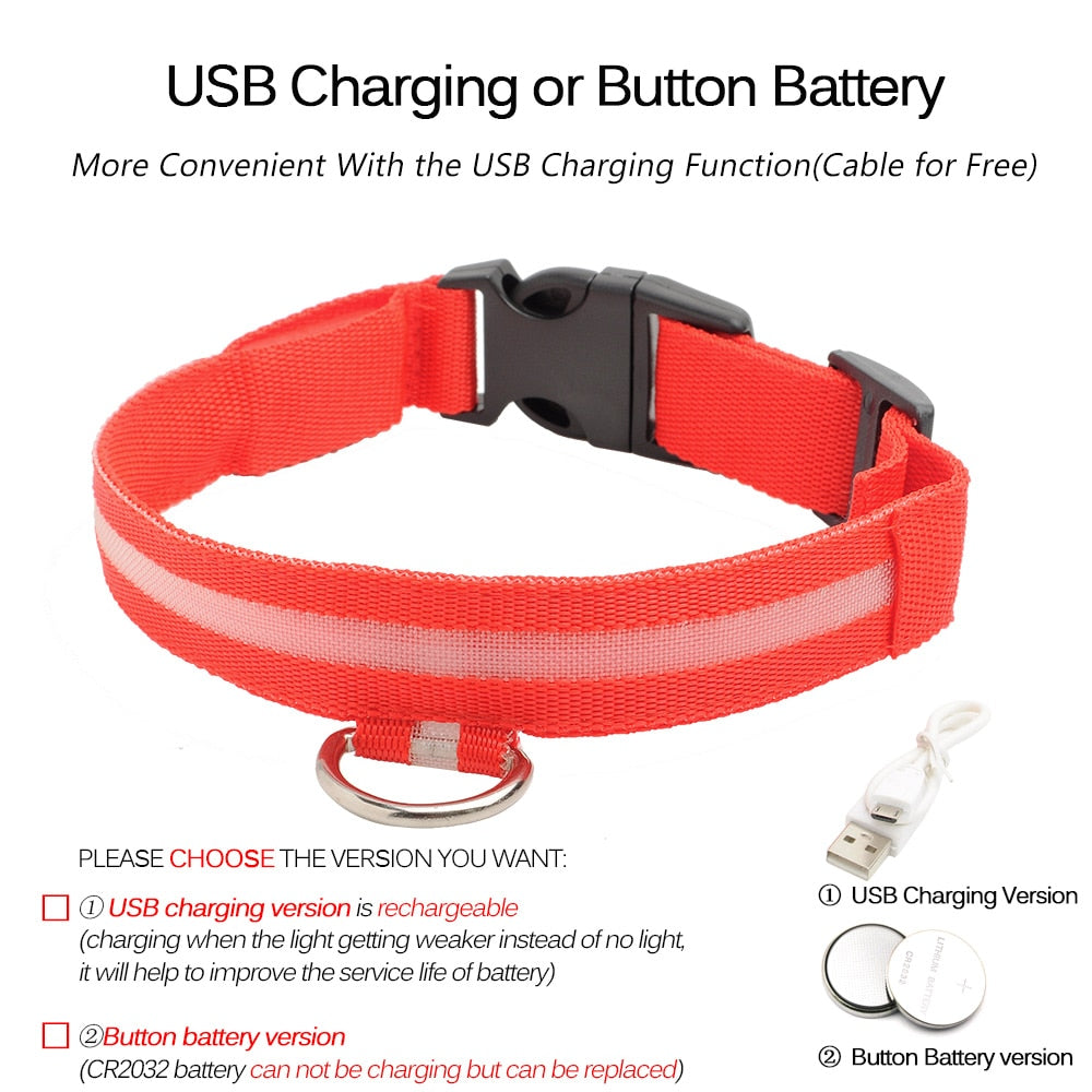 LEDDY collar: Life safer