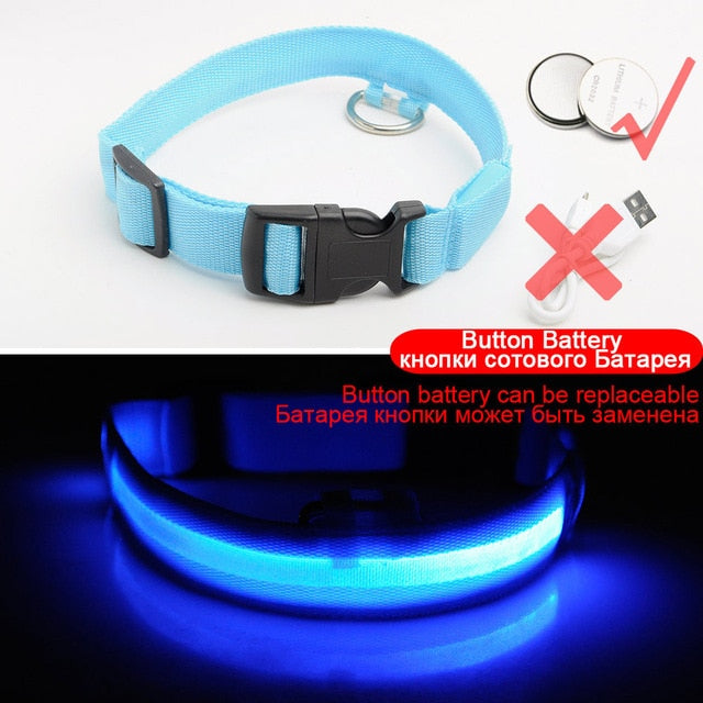 LEDDY collar: Life safer