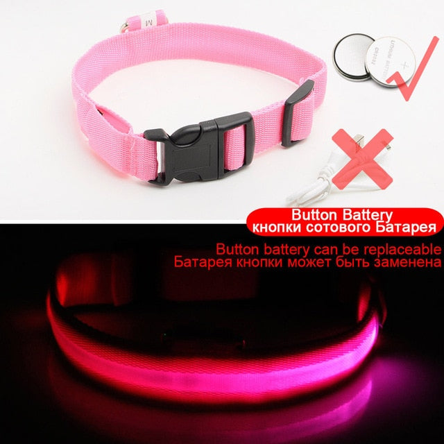 LEDDY collar: Life safer