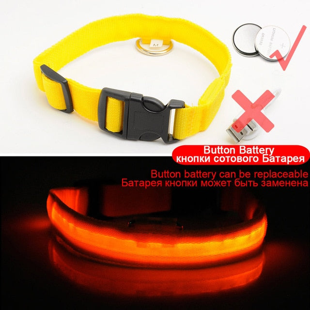 LEDDY collar: Life safer