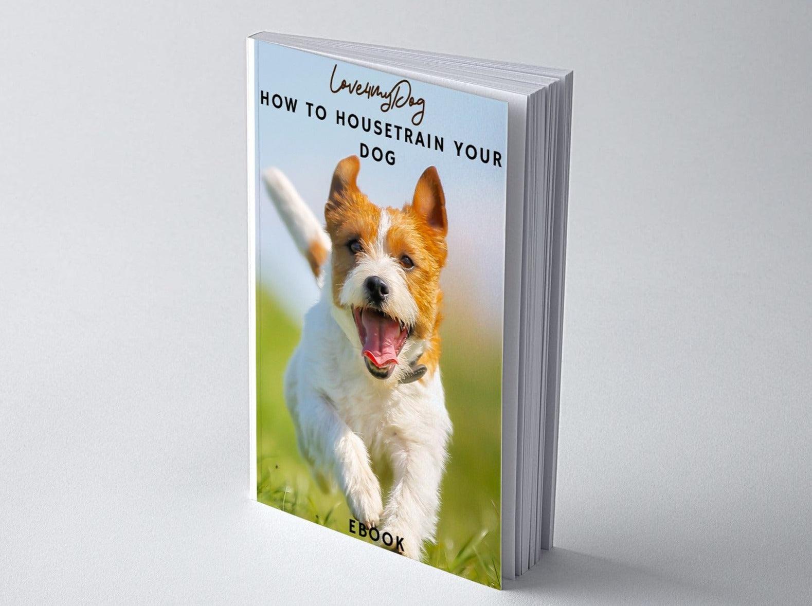 How to housetrain your dog