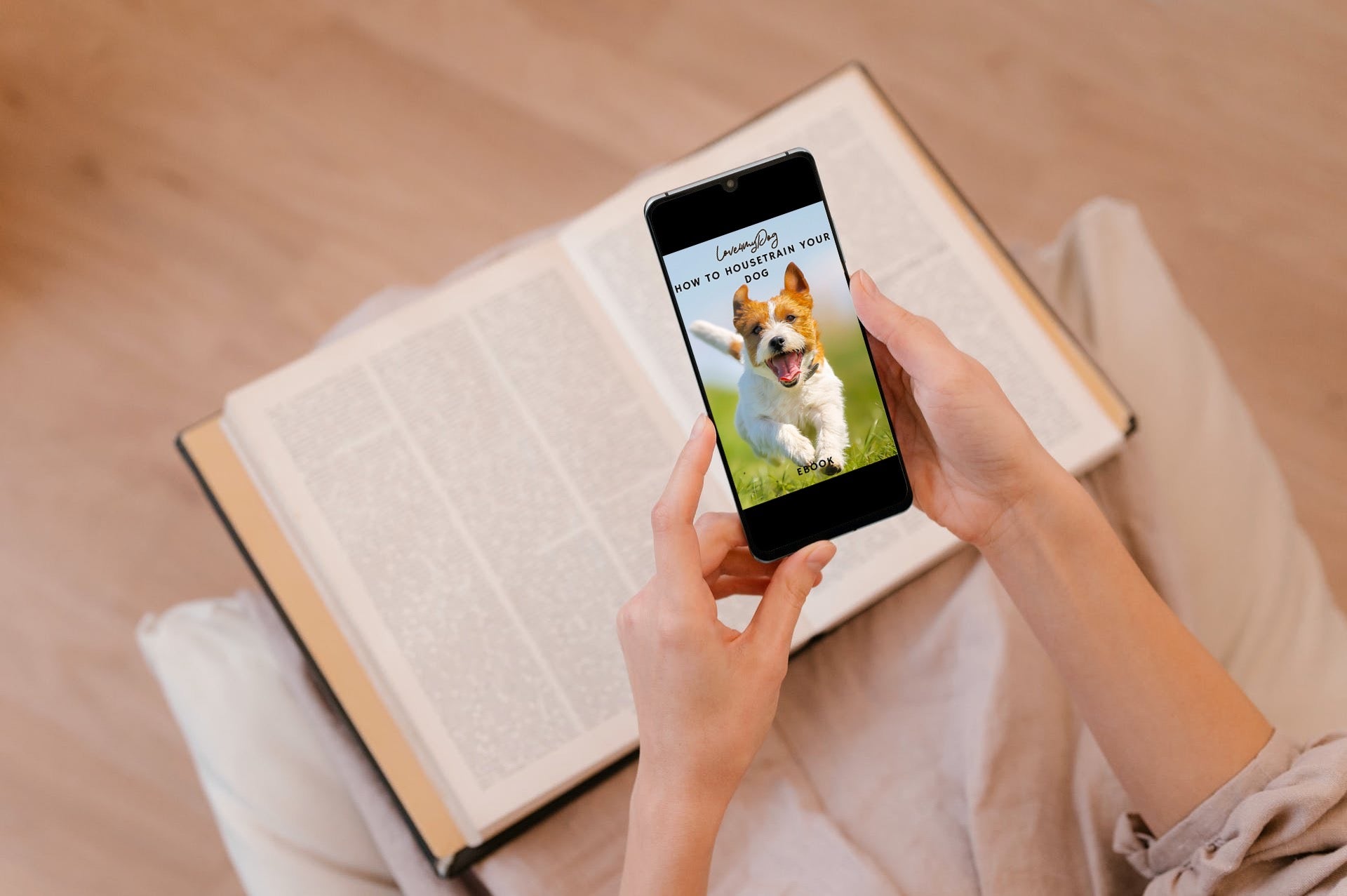 How to housetrain your dog