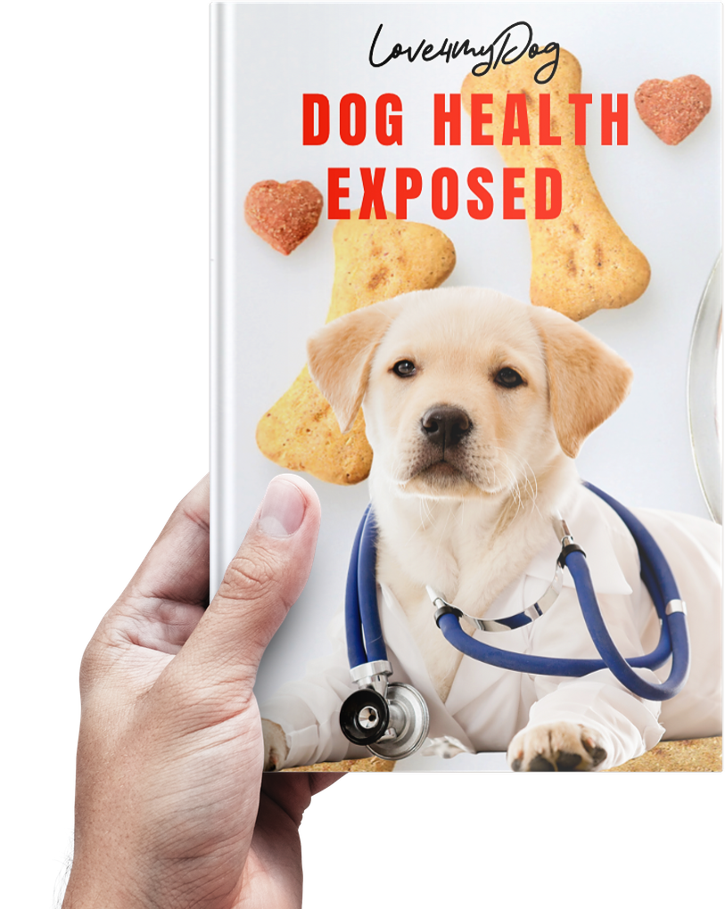 Guía de salud canina expuesta 