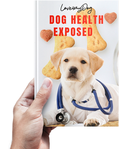 Dog Health Exposed Guide