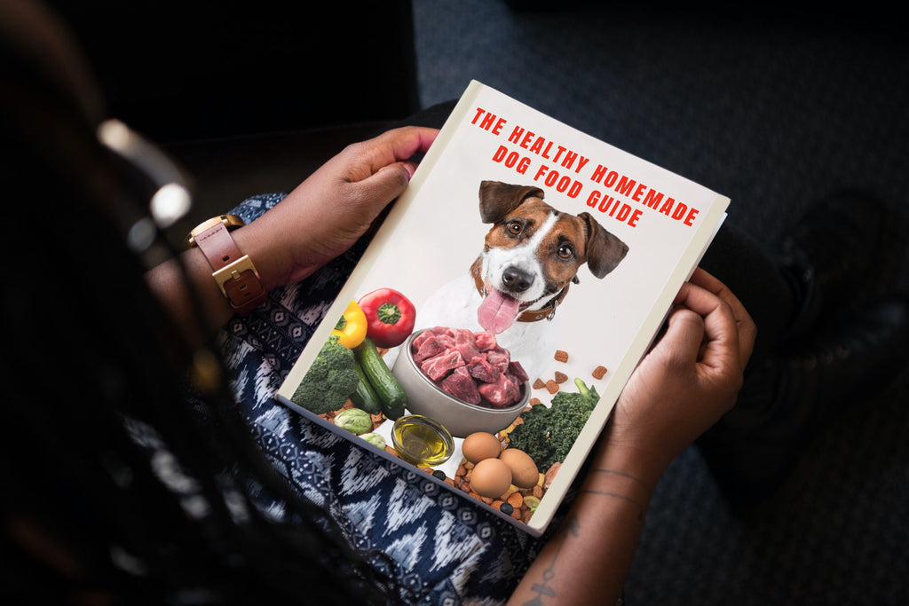 Healthy Homemade Dog Food Guide