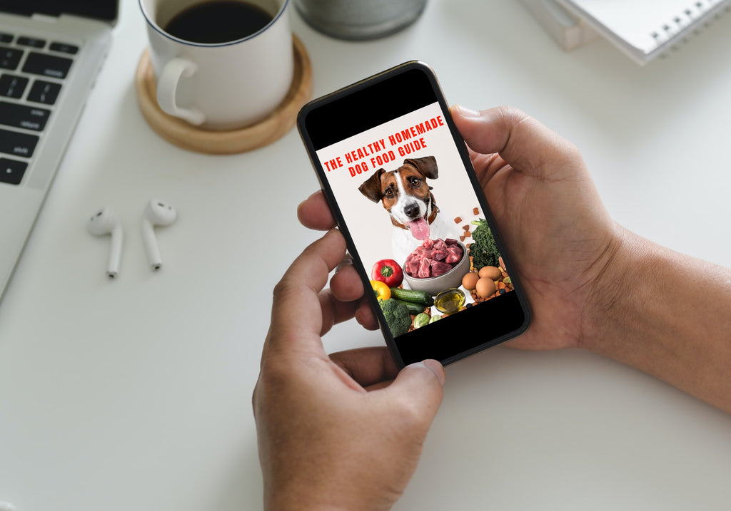 Healthy Homemade Dog Food Guide