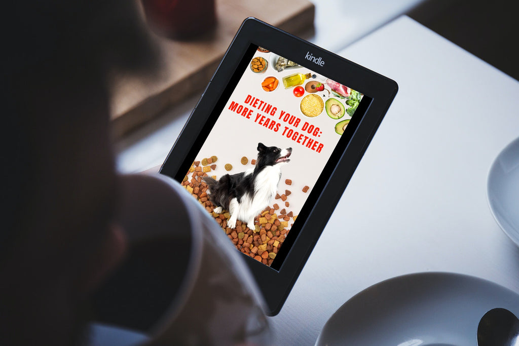 Dieting your dog guide